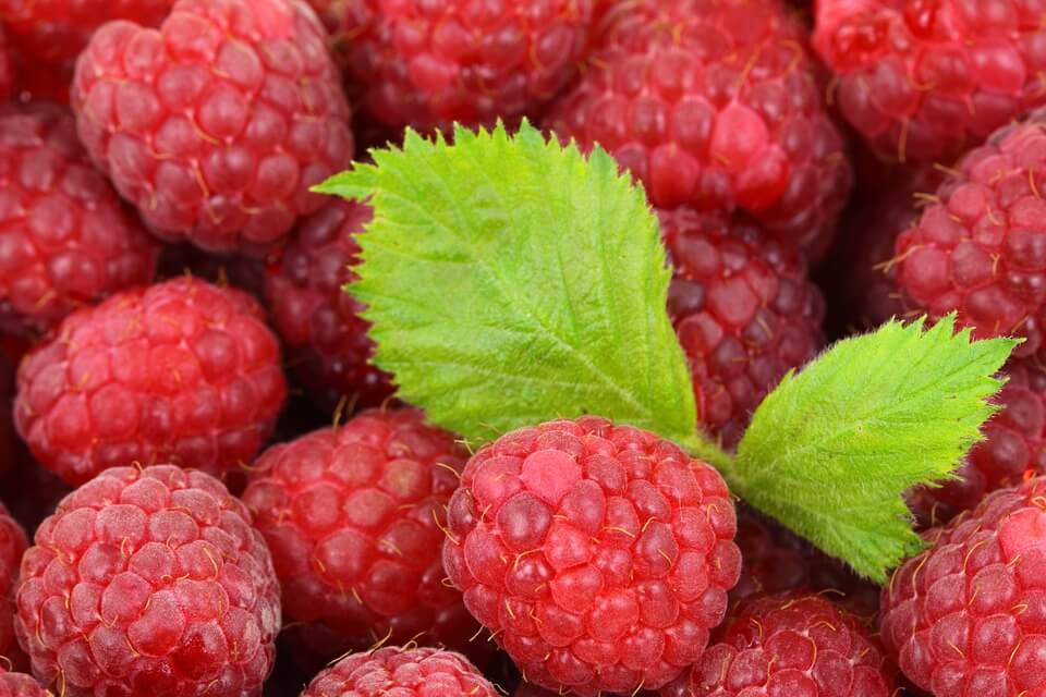 rasberi stoberi bluberry Makanan untuk mengecilkan perut buncit